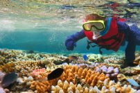 Australian,Person,Snorkeling,Scuba,Diving,With,Life,Jacket,Vest,And Australian,Person,Snorkeling,Scuba,Diving,With,Life,Jacket,Vest,And